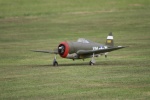 SCALE Steve Haines P47 Thunderbolt 1.jpg