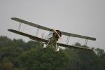 SCALE Martin Fardells Wallace biplane.jpg